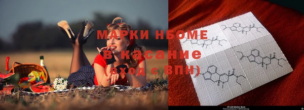 стаф Баксан