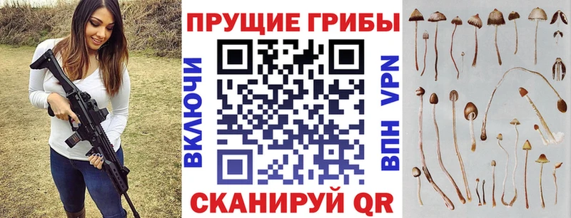 Купить где  Славгород  Галлюциногенные грибы ЛСД 