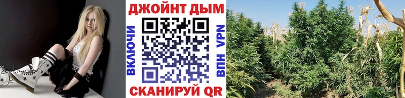 Конопля AK-47 Купить Славгород